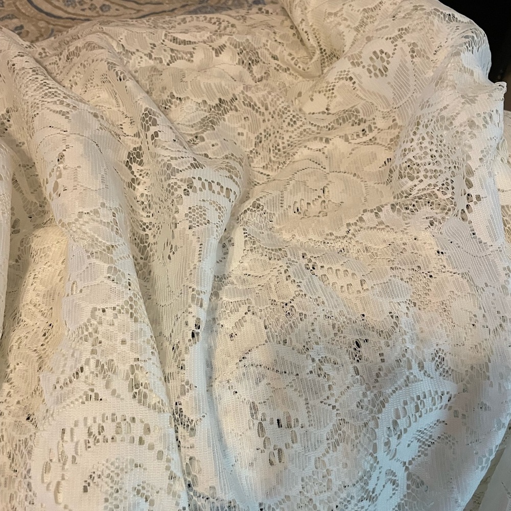 Lace curtain panel